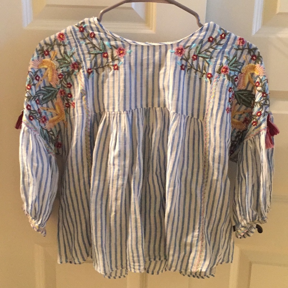 Zara Crop with Embroidery